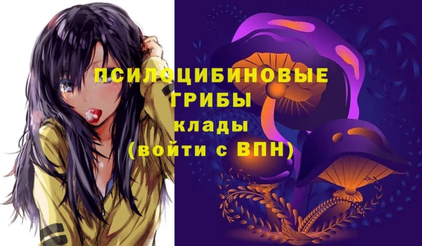 прущие крисы Арсеньев